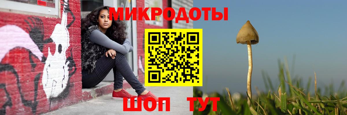 Нижнеудинск  Псилоцибиновые грибы Psilocybine cubensis  Вход с VPN 